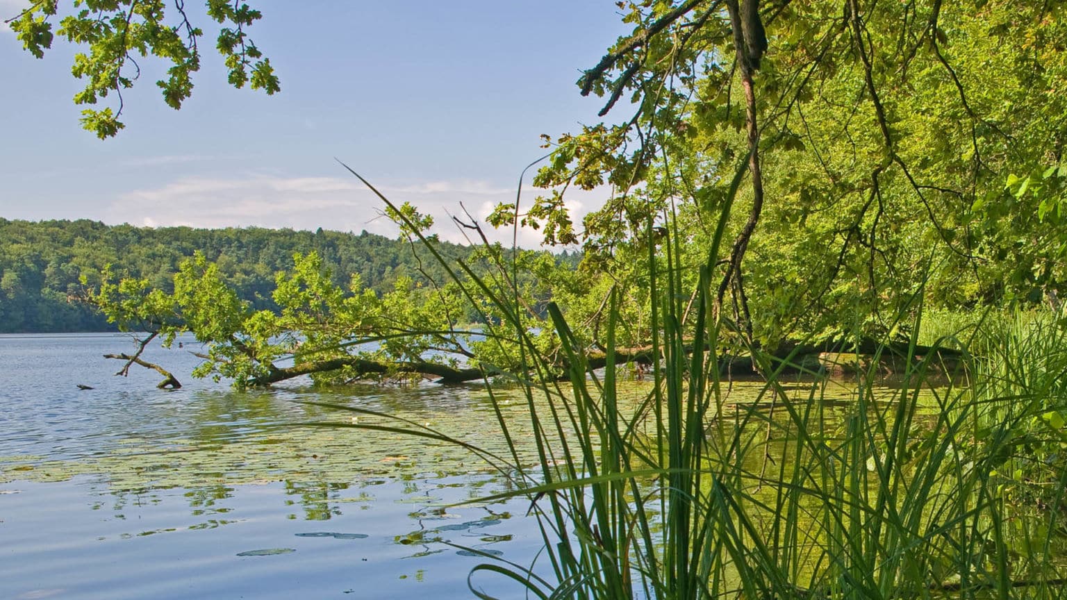 Naturpark-Lauenburgische-Seen-Startseite